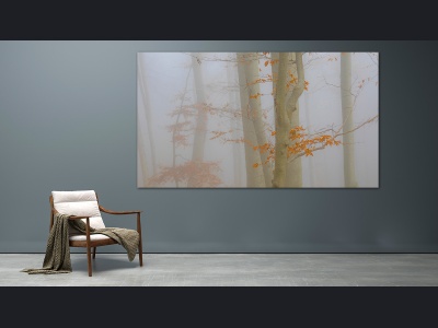 008h-foggy-forest_zimmer