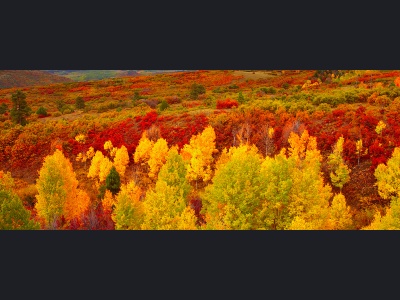 aa057_colours-of-colorado150x60cma