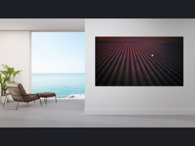aa39-the_scent_of_lavender160x90cm-1698368218