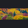 aa034-autumn-colours175x70cm-540b9197